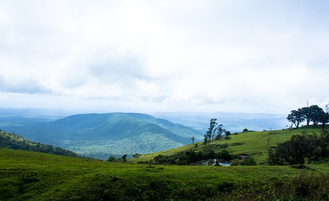 下轮对战马 下轮对战马